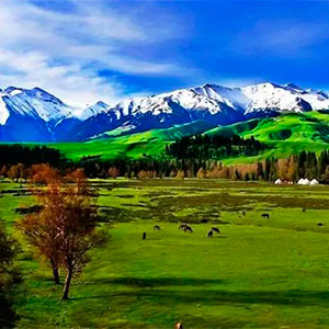 内蒙辣椒游旅行网