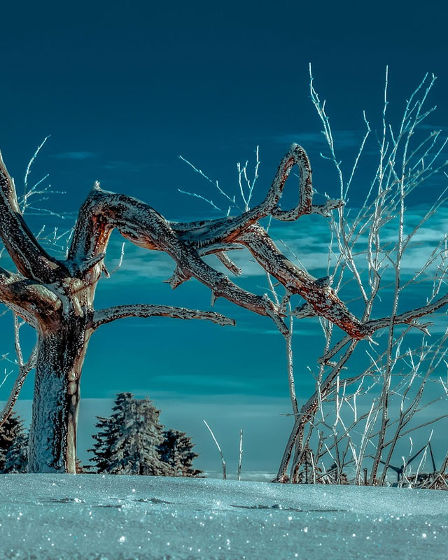 2024/8/1哈尔滨800大0小家庭定制旅行方案辣椒游旅行网好吗