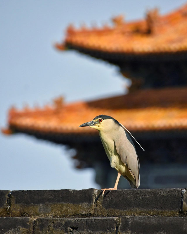 2024/8/15北京80大0小家庭定制旅行方案辣椒游旅行网好吗