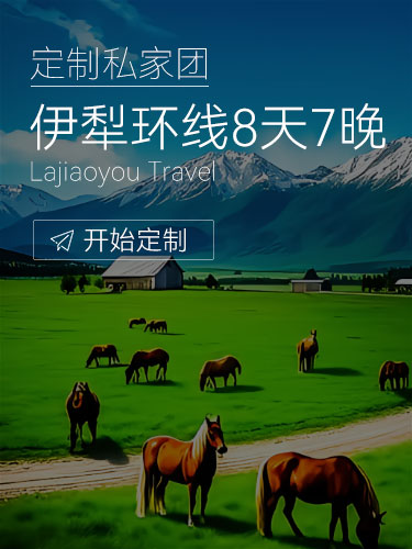 新疆伊犁夏天