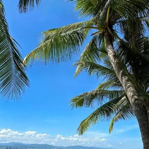 海南辣椒游旅行网