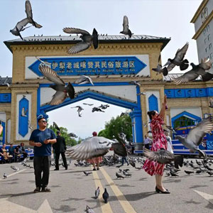 新疆辣椒游旅行网