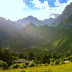 甘南辣椒游旅行网